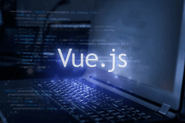 Vue Js Developer